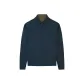 Peacock Blue