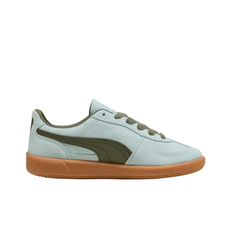PUMA Palermo Anti Slip Wear Resistant Low Top Skateboard Shoes Women's Blue Green-1