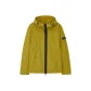 Ginger Yellow
