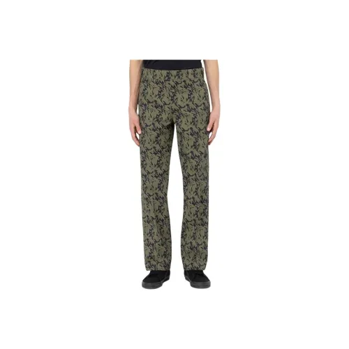 Dickies Drewsey Relaxed Fit Work Pants Cargo Pants Men's Green