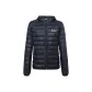 Navy Blue Silver Logo