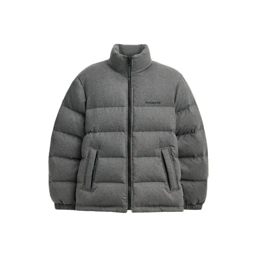 COACH FW24 Down Jacket Men's Dark Lime Gray