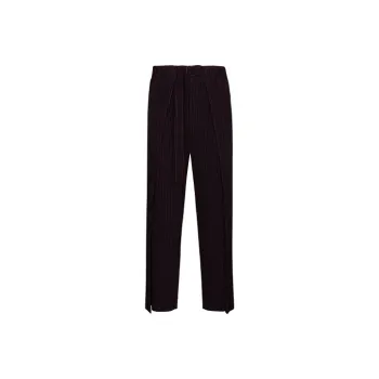 Homme Plissé Issey Miyake Casual Pants Men Black