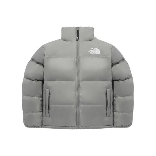 THE NORTH FACE Nuptse FW24 Jackets Coats Unisex Silver Gray