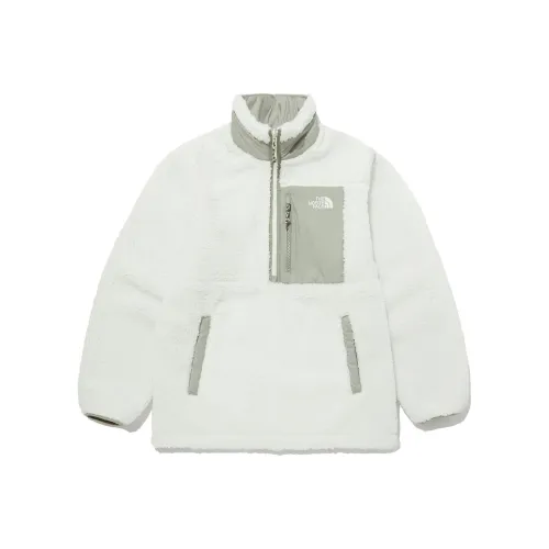 THE NORTH FACE Jackets Coats Men's Fresh Green