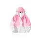 Pink and White Gradient (Upgraded Hooded)