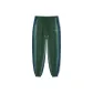 Seaweed Green