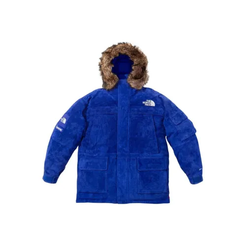 Supreme The North Face Suede 600 Fill Down Parka