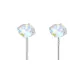 5mm Colorful Zircon Stud Earrings[999 Fine Silver]