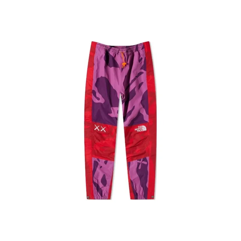 Kaws X THE NORTH FACE Mountain Light Pants-0