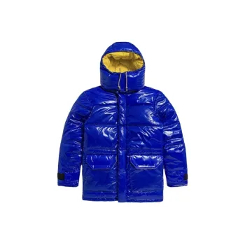 THE NORTH FACE Down Jacket Men's Blue