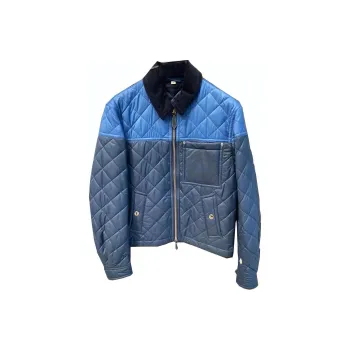 Burberry Puffer Jacket Men's Blue