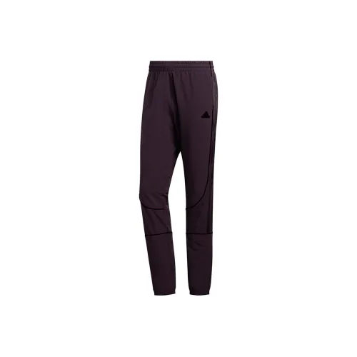 Adidas Knitted Sweatpants Men Purple