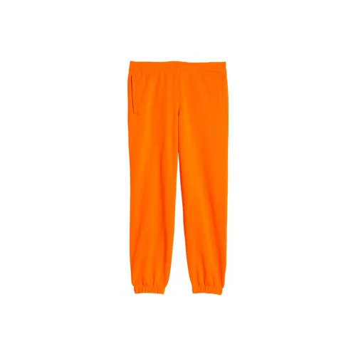Adidas Originals Sport Men's Dri FIT Shorts