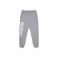 Medium Feather Gray
