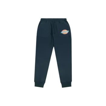 Dickies Casual Pants Men's Dark Navy Blue