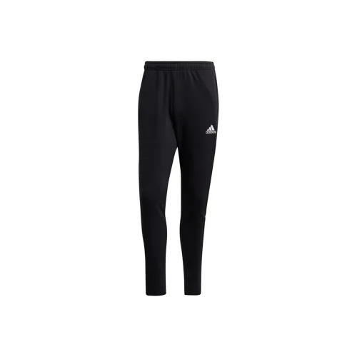 Adidas Tiro 21 Sweat Pants