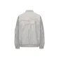 Silver Gray