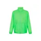 Neon Yellow
