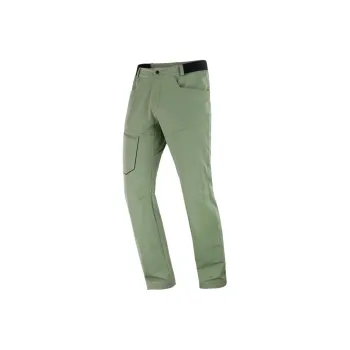 SALOMON WAYFARER Cargo Pants Men's Green