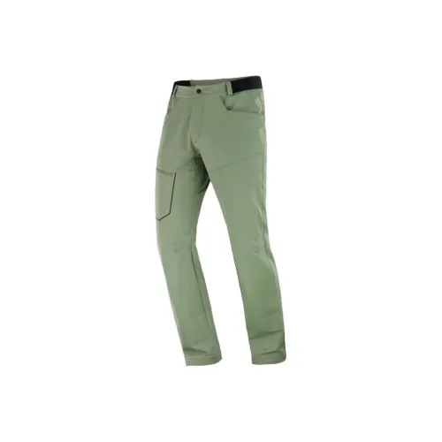 SALOMON WAYFARER Cargo Pants Men's Green