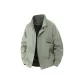 Salt Gray Green