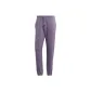 Gray Violet
