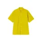 Acid Yellow