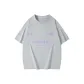 Ice Blue Gray
