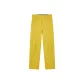 Gold Yellow