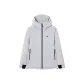 Silver Snow Gray