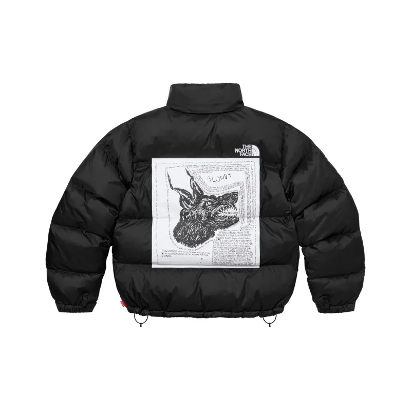 Supreme The North Face Nuptse Jacket-6