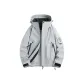 Silver Gray