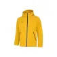 Gold Yellow