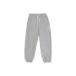 Gray Regular Edition