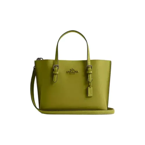 COACH Leather Tote Bag, Shopping Bag, Shoulder Bag, Handbag Medium Size Women's Green