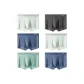 6 Pack[Light Photo+Gray Blue+Cerulean+Light Photo+Fruit Green+Cerulean]