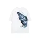 White[Left Butterfly]