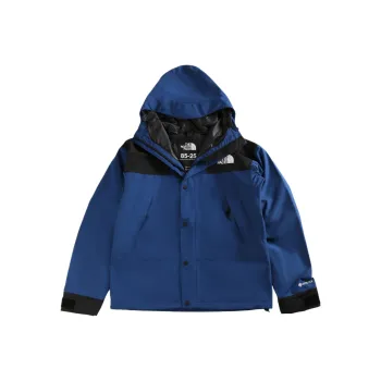 THE NORTH FACE Gtx Mountain Jacket