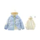 Baby Blue (Includes High-Quality Sweatshirt Puffer Jacket)