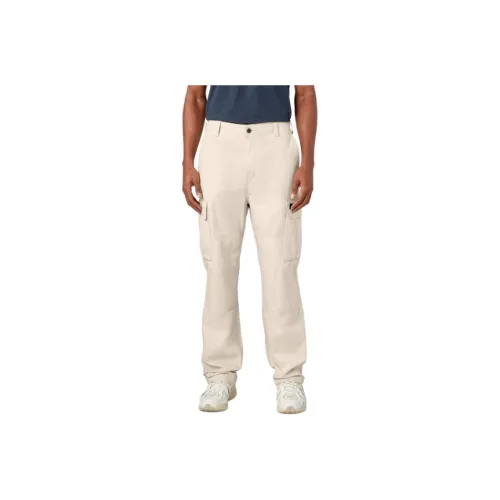 Dickies Cargo Pants Men's Stone Hat Gray