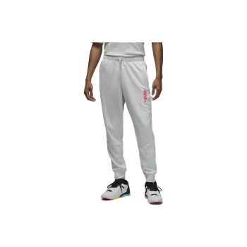 JORDAN Zion Dri FIT | Knitted Sweatpants Men Light Gray