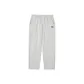 Antarctic Gray