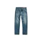 Antique Faded Fern Blue