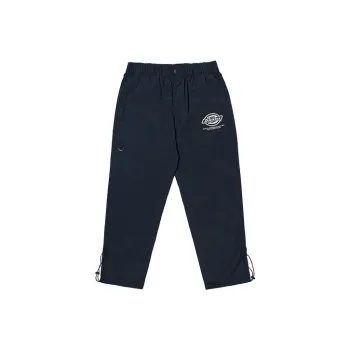 Dickies Slim Fit Pants Moderate Casual Pants Unisex Dark Marine Blue