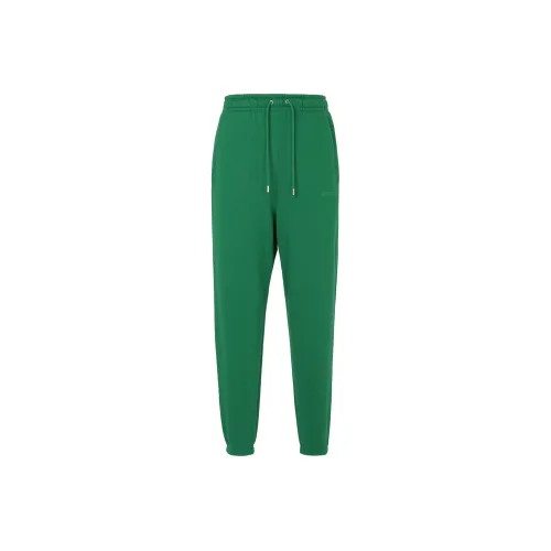 JORDAN Air JORDAN X Wordmark Knit Knitted Sweatpants Men Pine Green