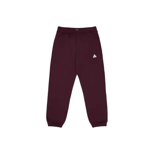 PALACE Knitted Sweatpants Unisex Purple
