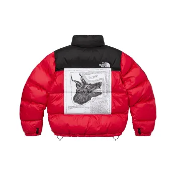 Supreme The North Face Nuptse Jacket