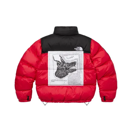 Supreme The North Face Nuptse Jacket