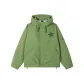 Fruit Green